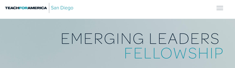 Emerging Leader Fellowship